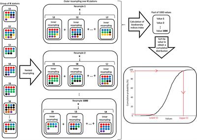 Accounting for Uncertainties in Biodiversity Estimations: A New Methodology and Its Application to the Mesopelagic Sound Scattering Layer of the High Arctic